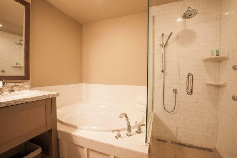 Premier King Studio First Floor Sofa Sleeper Pet Friendly,1605396607:JPEG
